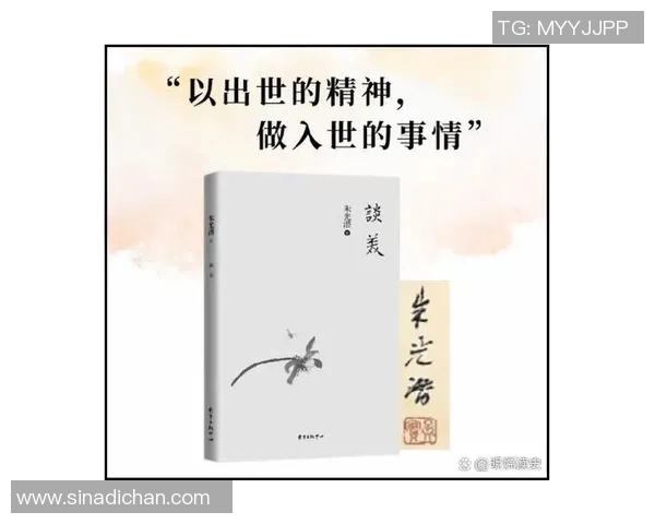 加莱诺的艺术魅力与文化传承探讨：从历史到现代的深度解读